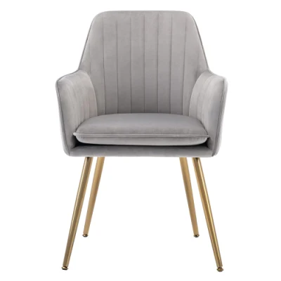 Chaise d'appoint en velours, fauteuil de réception, canapé une place, meubles d'appoint